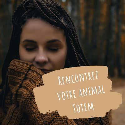 🧙‍♂️ 8 Hours of Fantasy Ambient Sleep Music in a Peaceful Night Forest for Deep Relaxation 🌲