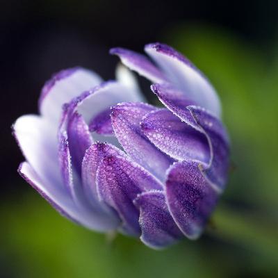 Livestream Klavierimprovisation 2021-01-04