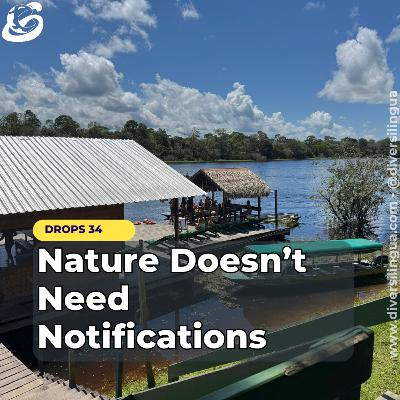 D#34 - Nature Doesn’t Need Notifications