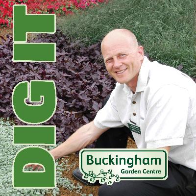 Choosing the Perfect Bed with Stuart Lowen Choosing the Perfect Bed with Stuart Lowen