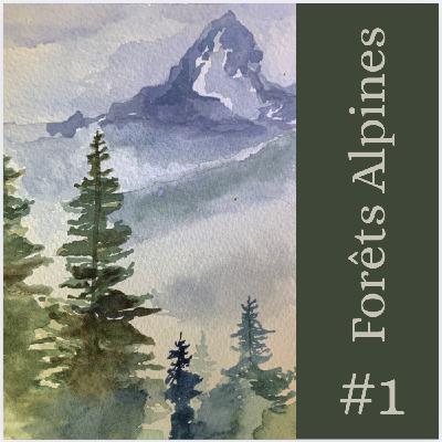 Serie ForĂȘts alpines | Ep. 1 - Qu'est-ce qu'une forĂȘt ? Serie ForĂȘts alpines | Ep. 1 - Qu'est-ce qu'une forĂȘt ?