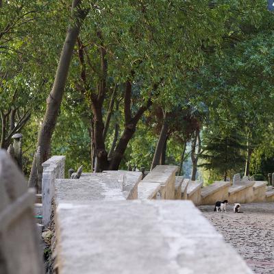 Bakmaklar • İsmet Özel