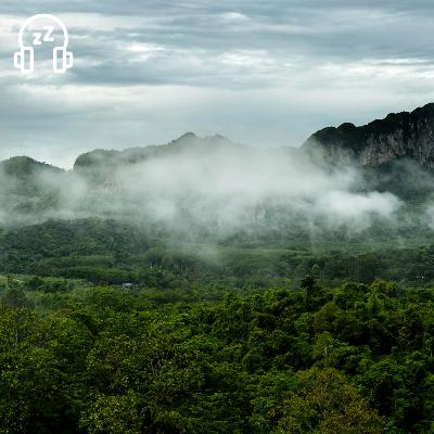 HELP ME SLEEP | Relaxing Thunder & Rain Sounds in the Misty Mountains | Insomnia Relief