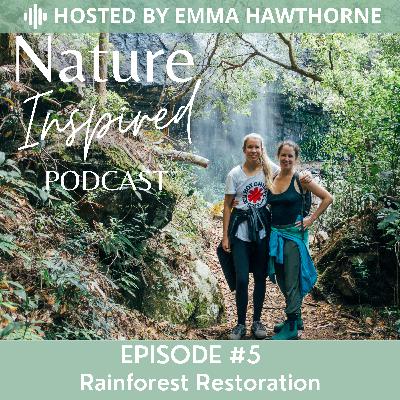 Rainforest Restoration