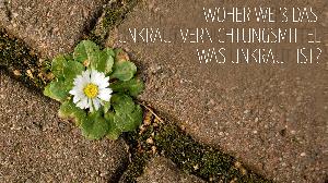 Woher "weiß" Unkrautvernichtungsmittel, was Unkraut ist? Woher "weiß" Unkrautvernichtungsmittel, was Unkraut ist?