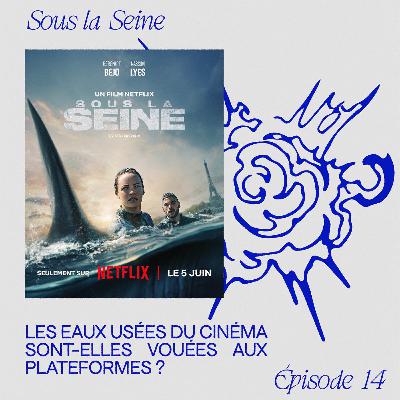 Sous la Seine - Les eaux usées du cinéma sont-elles vouées aux plateformes ?