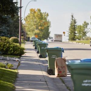 Comparing our organics program to other big cities in Canada