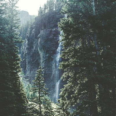 Equilibrio en el Planeta #Meditación #Naturaleza