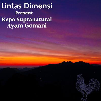 Kepo Supranatural : Ayam Cemani