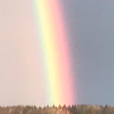 Wieso geht der Hefeteig?