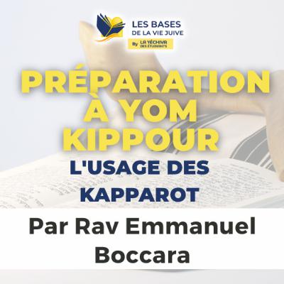 Préparation à Yom Kippour : l'usage des Kapparot