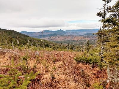 EP 117: A Comparison of Bigwoods Deer Hunting in Maine and the Adirondacks EP 117: A Comparison of Bigwoods Deer Hunting in Maine and the Adirondacks