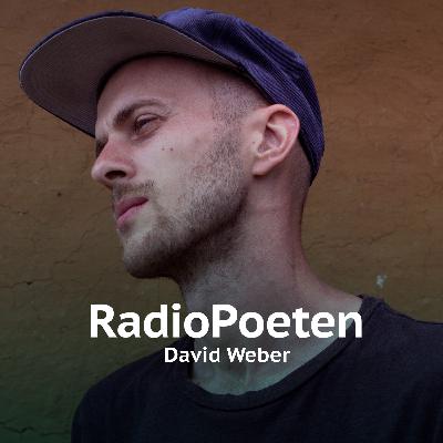 David Weber: „Judy“ David Weber: „Judy“