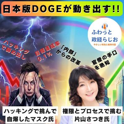 ハッキング米国版の「失敗」を逆手に取った、日本版DOGEの“必勝ロジック”