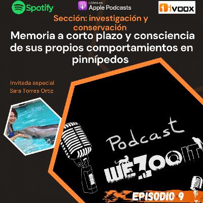 #9 Memoria a corto plazo y consciencia de sus propios comportamientos en pinnípedos