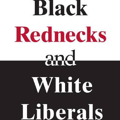 《黑人红脖子与白人自由主义者》/《Black Rednecks and White Liberals》