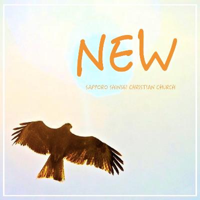 NEW