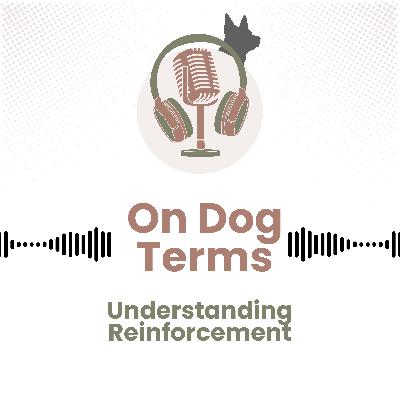 Understanding Reinforcement: A Deep Dive Into Dog Training
