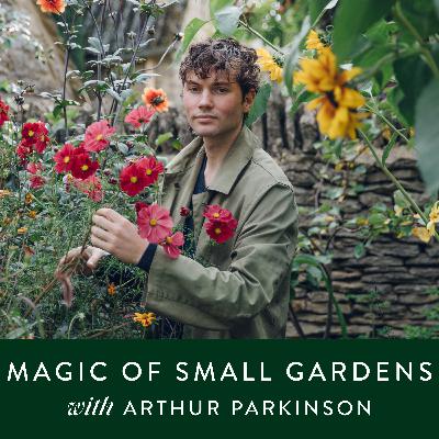 Gardening: The beauty of small gardens with Arthur Parkinson Gardening: The beauty of small gardens with Arthur Parkinson