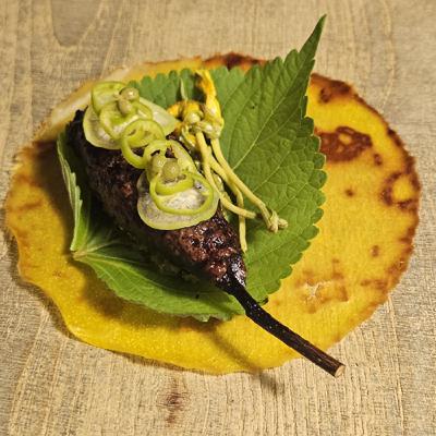 ep.243空洞騎士的故事