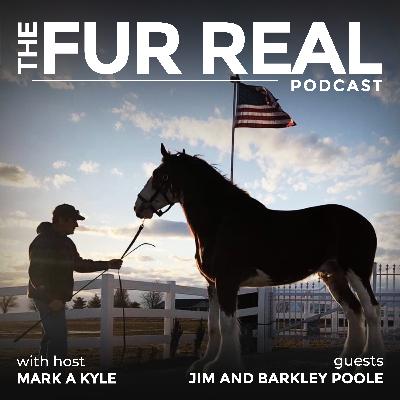 "CLYDESDALES: BIG HEARTS, BIGGER HOOVES" with Jim and Barkley Poole