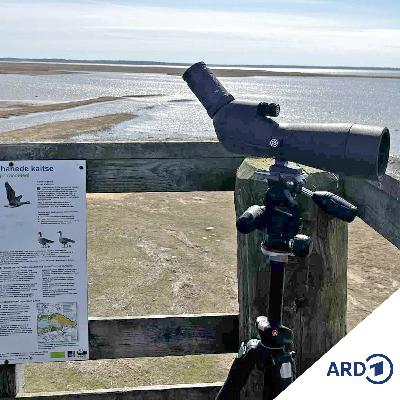 Mit dem Rad durch Estland