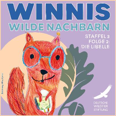Staffel 3 / Folge 2 Die Libelle: Tierische Düsenjäger, insektenfressende Aliens und ein märchenhaftes Moor