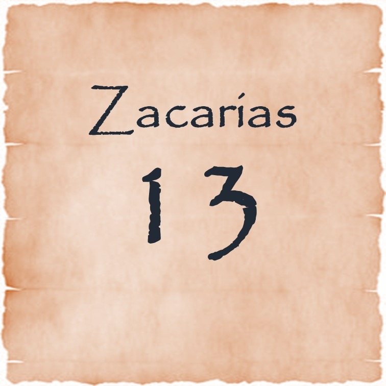 Zacarias 13 episode artwork