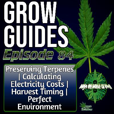 Preserving Terpenes, Cutting Power Costs & Dialling In the Perfect Grow | Grow Guides Ep. 84