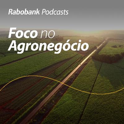 Olho no mercado | Biometano