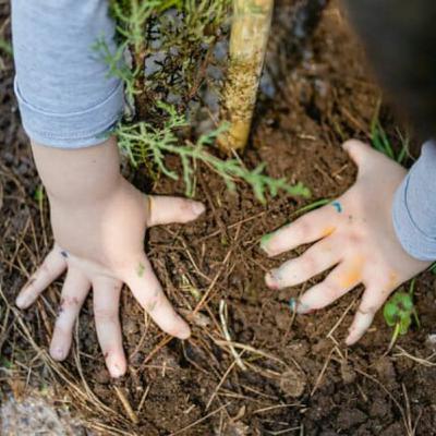 Comment planter une plante 🌲 ? ;)