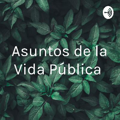 Adolescentes y vida pública