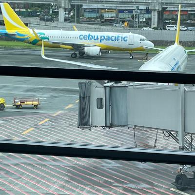 フィリピン弾丸🇵🇭⭐︎直感を磨くためのヒント✨10分朝ワーク♪ フィリピン弾丸🇵🇭⭐︎直感を磨くためのヒント✨10分朝ワーク♪