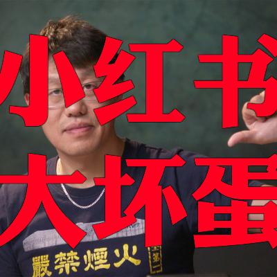 终极吐槽小红书：谎言、威权、剥削、试探
