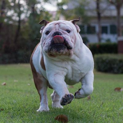 #3 - Obesidade: Reduzindo o peso de forma saudável #3 - Obesidade: Reduzindo o peso de forma saudável