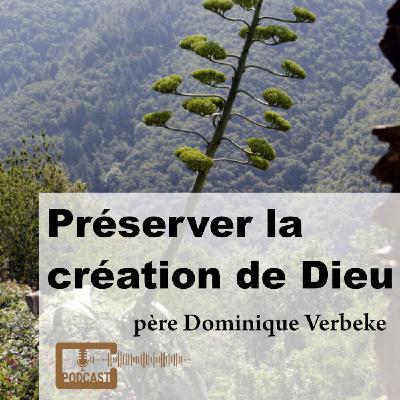 Préserver la création de Dieu.  avec père Dominique Verbeke