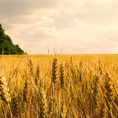 RLCC Marketing RLCC Marketing