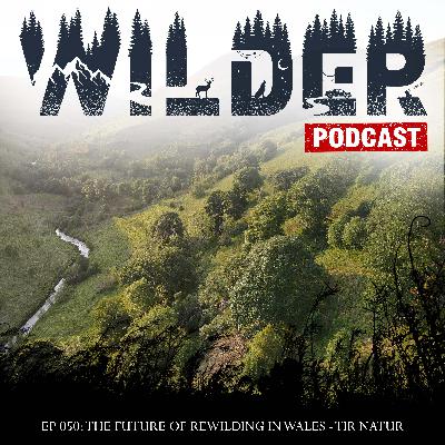 Ep. 050: The Future of Rewilding in Cymru (Wales) - Tir Natur