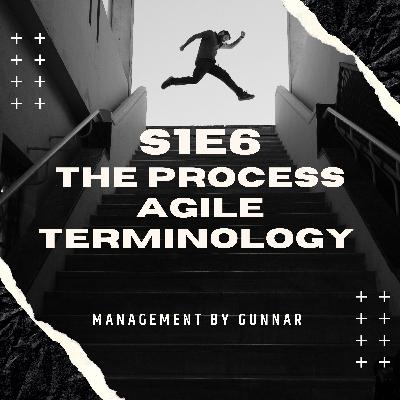 S1E6 The Process Agile Terminology