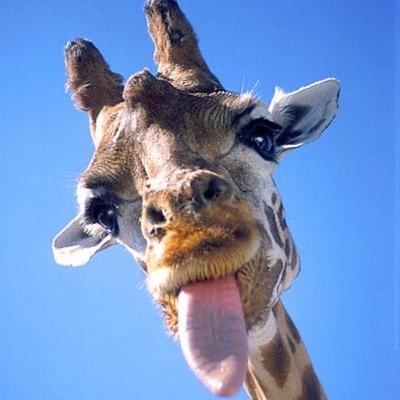 Ep. 8.1 — cinema nacional (parte 1) Ep. 8.1 — cinema nacional (parte 1)