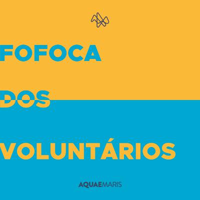 Fofocas dos Voluntarios Fofocas dos Voluntarios