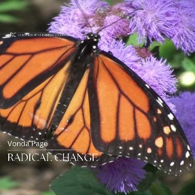 From Survivor to Healer: Uncovering the Roots of Narcissistic Abuse