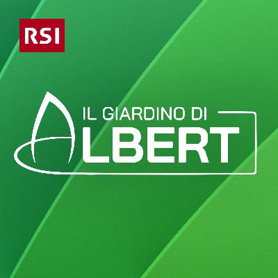 Castori e pipistrelli