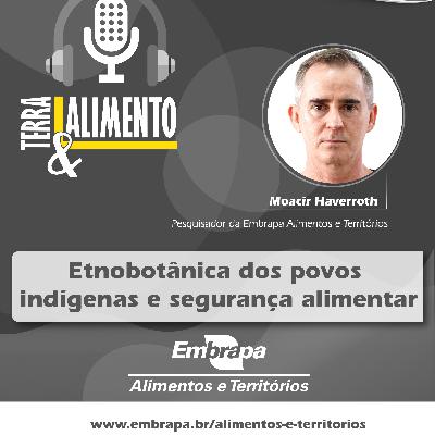 Etnobotânica dos povos indígenas e segurança alimentar Etnobotânica dos povos indígenas e segurança alimentar