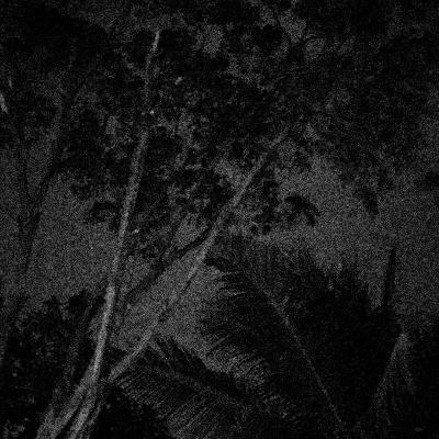 PERCOBAAN PERTAMA PERCOBAAN PERTAMA