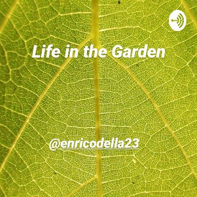#56.Il Giardino della Kolymbethra raccontato dall’agronomo Giuseppe Lo Pilato.
