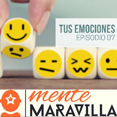 7 – Tú y tus emociones