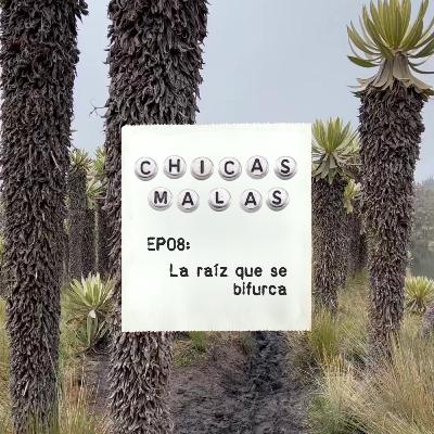 EP08: Entrevista a Luisa Mancilla | 'La raíz que se bifurca'