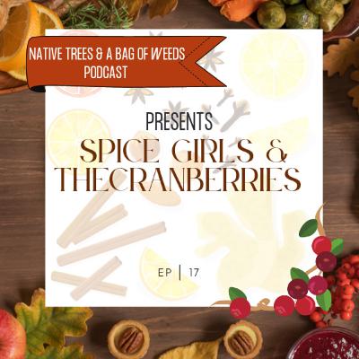 Ep. 17 - Spice Girls & The Cranberries Ep. 17 - Spice Girls & The Cranberries