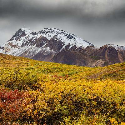 Sleep Episode - One Step at a Time in Alaska 1